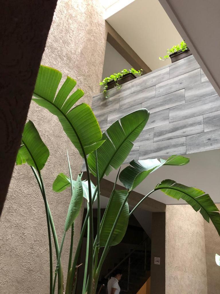 Hotel Plaza Arteaga Μοντερέι Εξωτερικό φωτογραφία